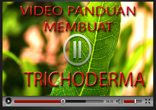 cara membuat trichoderma